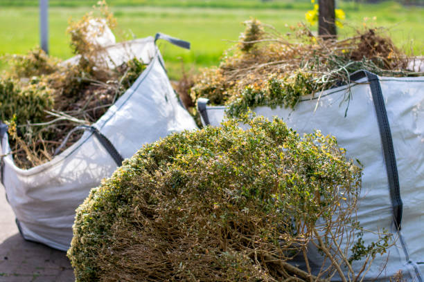 Best Junk Hauling Services  in Riverside, AL